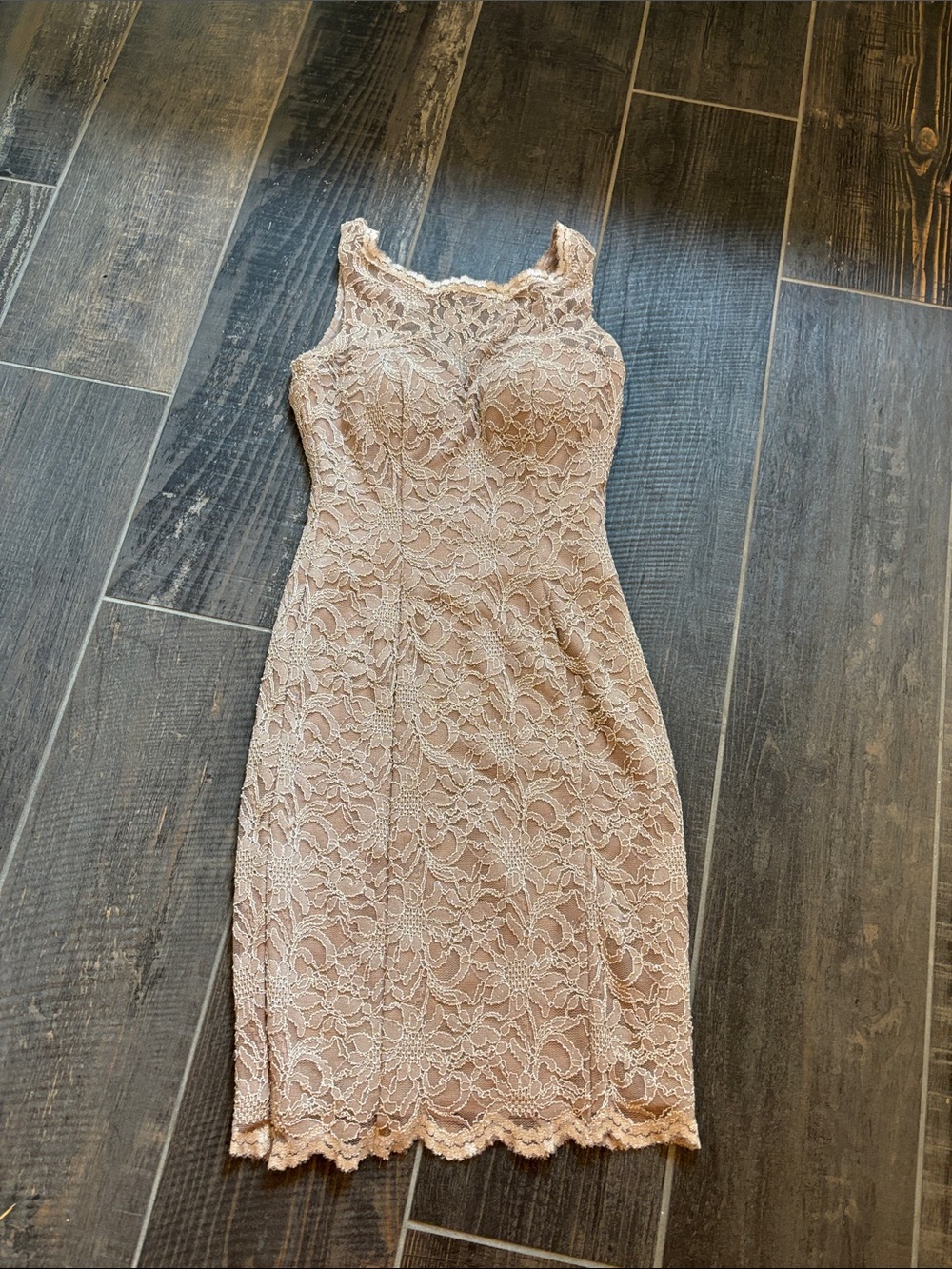 Cachet Blush Lace Midi Sheath Dress
